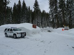 Yosemite_Valley (120)